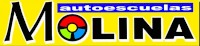 AUTOESCUELAS MOLINA
