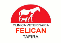 CLÍNICA VETERINARIA FELICÁN TAFIRA