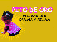 PITO DE ORO