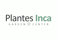 PLANTES INCA