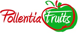POLLENTIA FRUITS